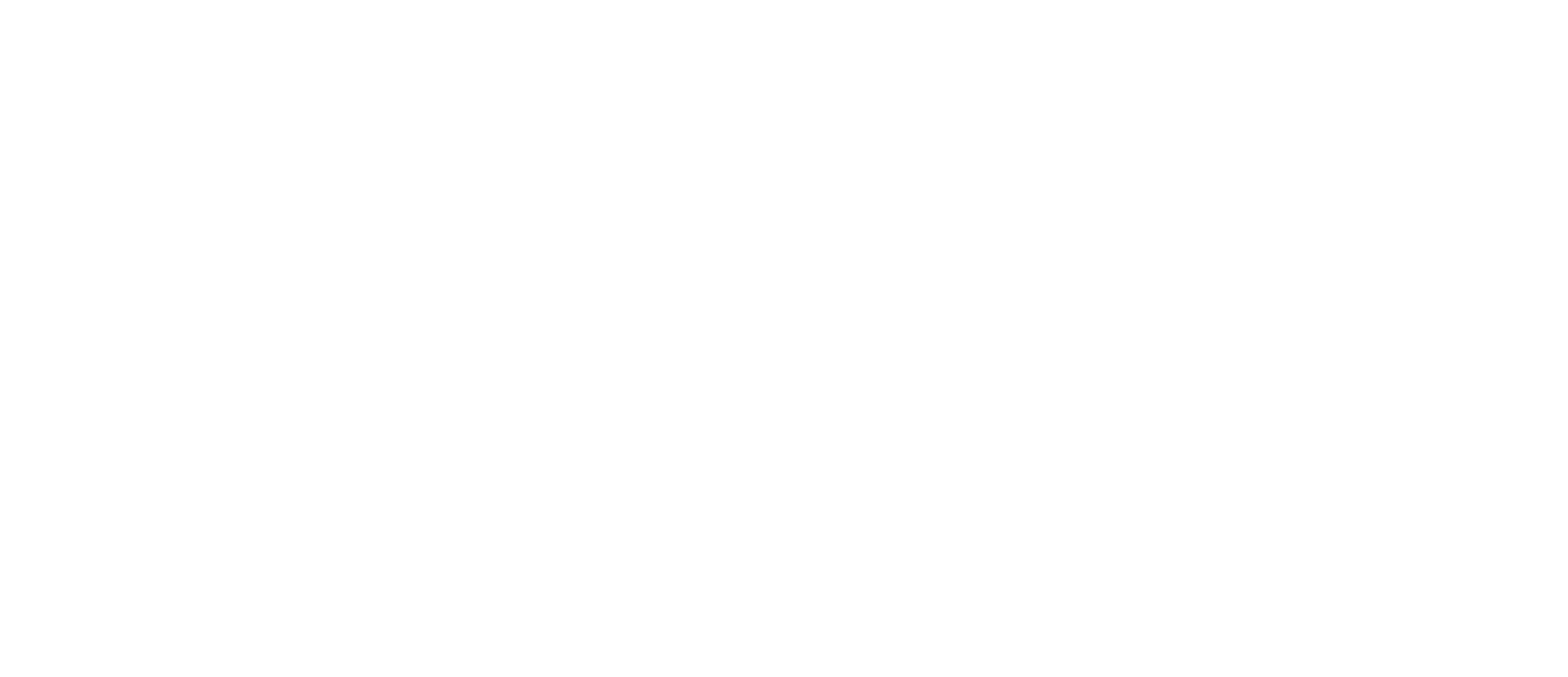 Bordas Consulting logo